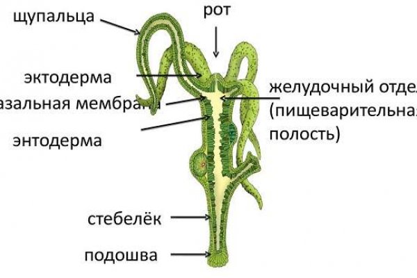 Кракен даркен