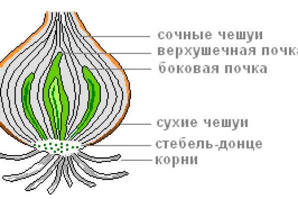 Kraken сайт покупок